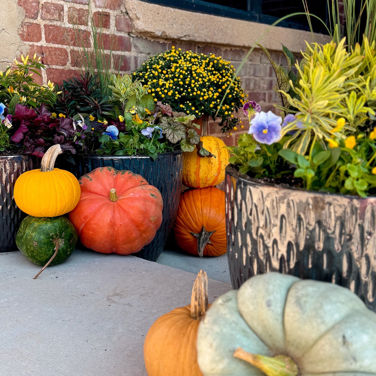 The Farmhouse Package