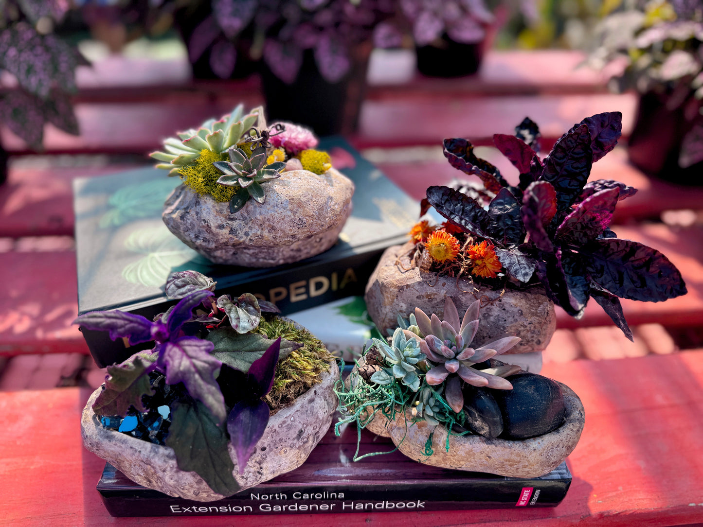 Pocket Gardens (Set of 4)- October 8th, 6:30pm