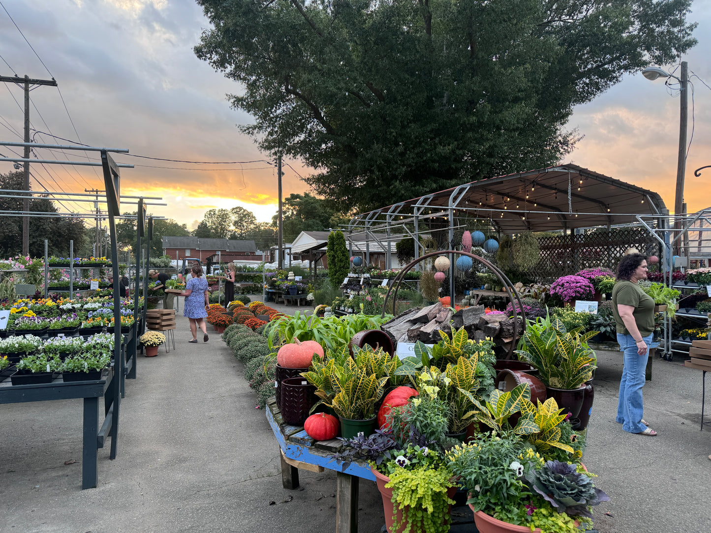 Autumn Harvest Basket Workshop- September 23rd, 6:00pm