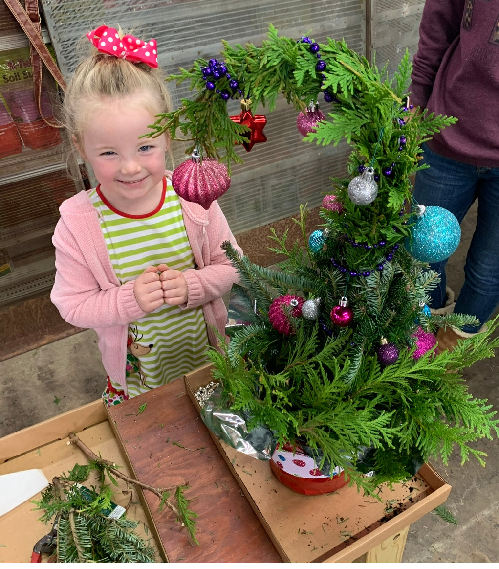 The Merry Little Grinch Tree Workshop (Dec 6th, 1PM)