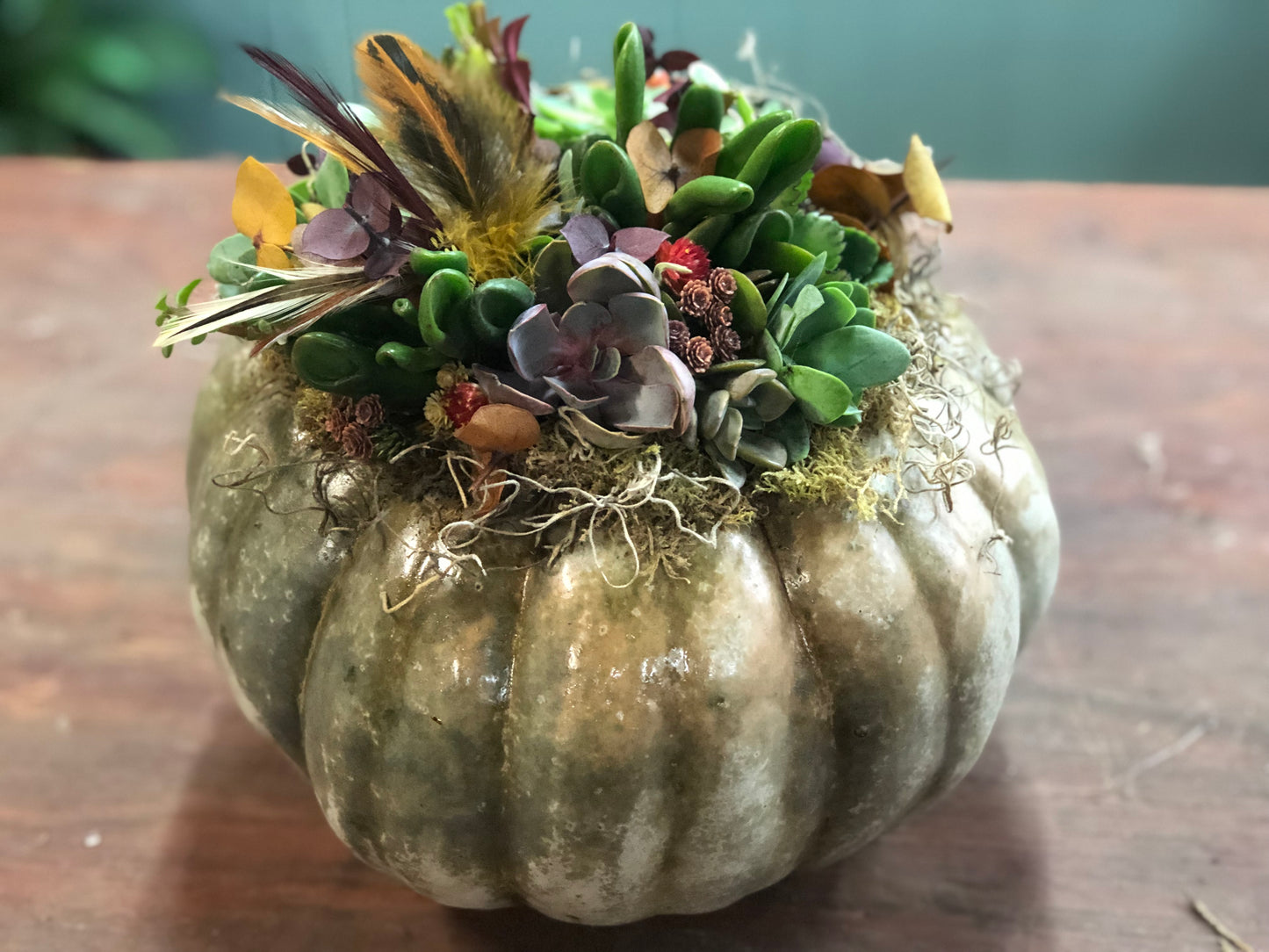 Succulent Topped Pumpkin- October 3rd, October 6th, October 7th