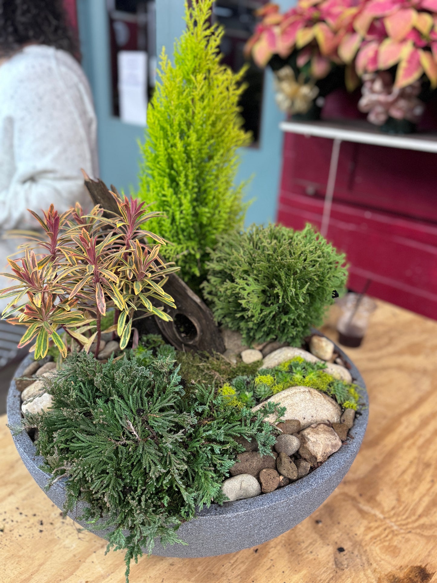 Alpine Garden- October 23rd, 6:30pm