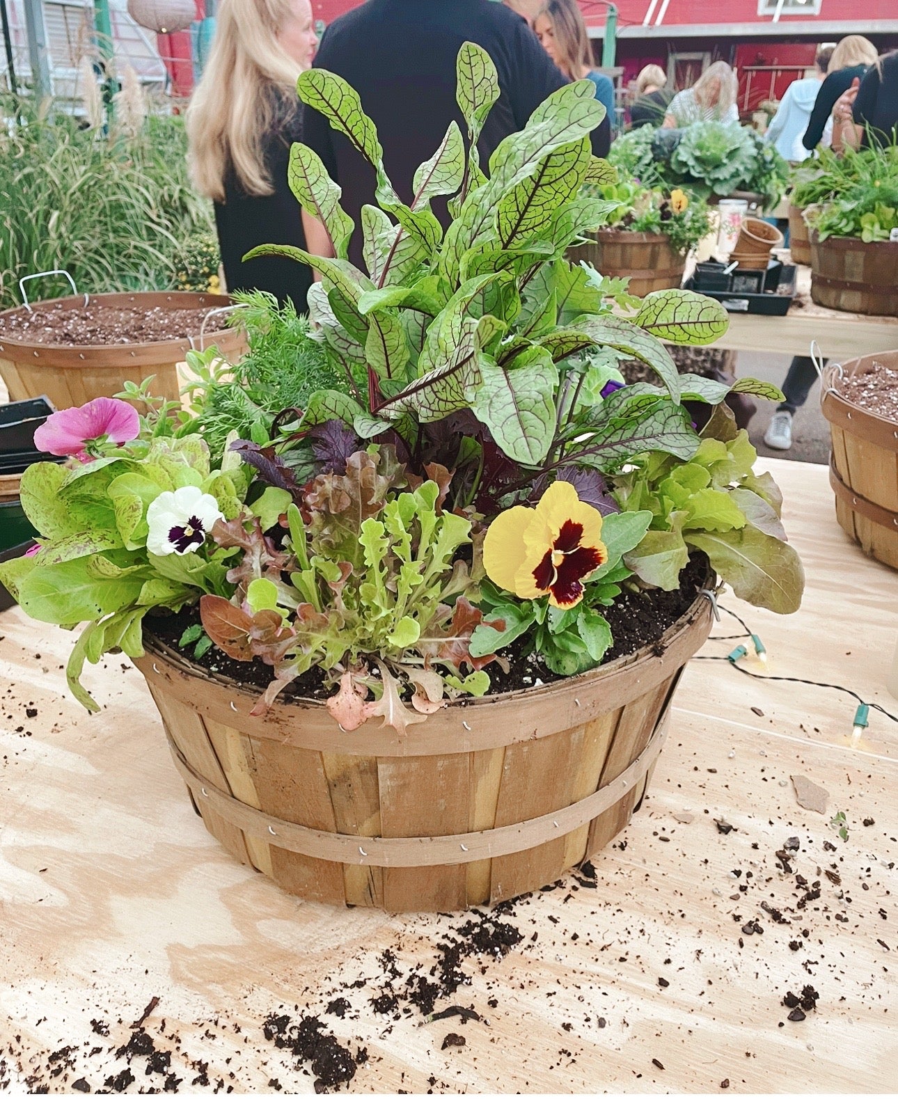 Autumn Harvest Basket Workshop- September 23rd, 6:00pm