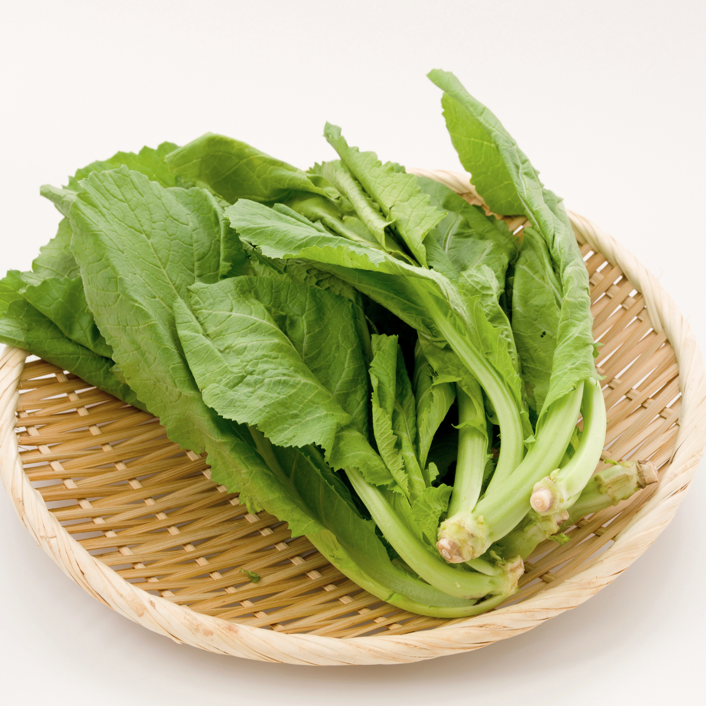 Florida Broadleaf Mustard