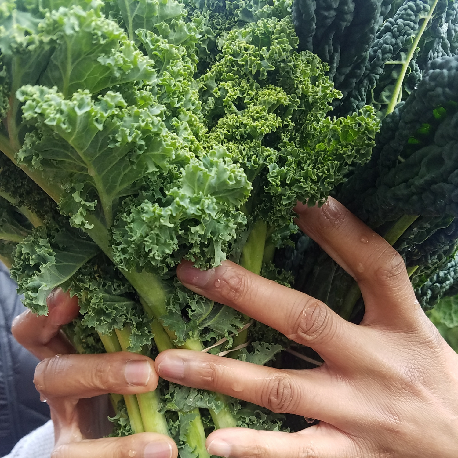 Greens