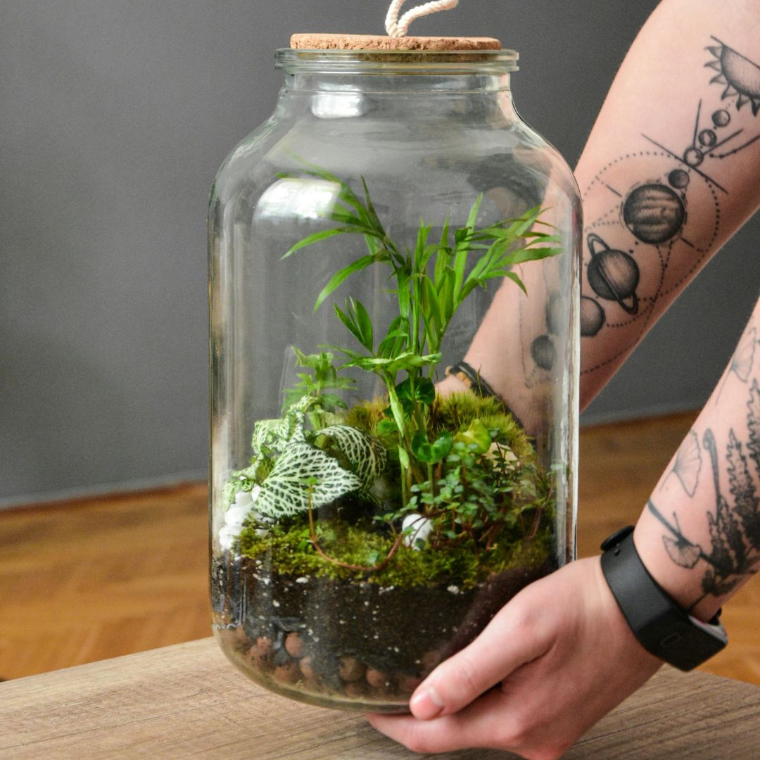 Open Terrarium Night at Brawley Seed- October 17th, 6:30pm
