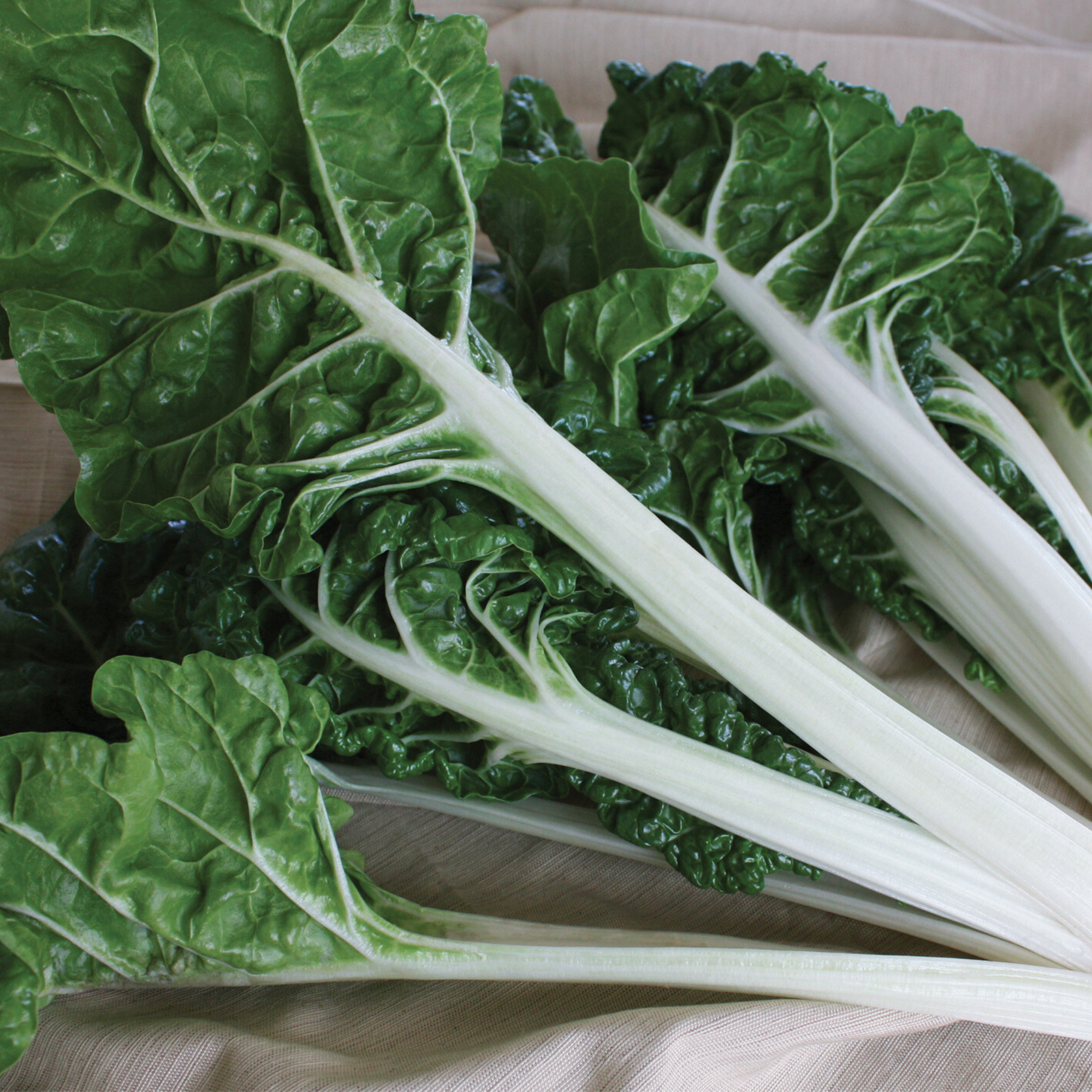 Lucullus Swiss Chard Seeds – Brawley Seed Co.