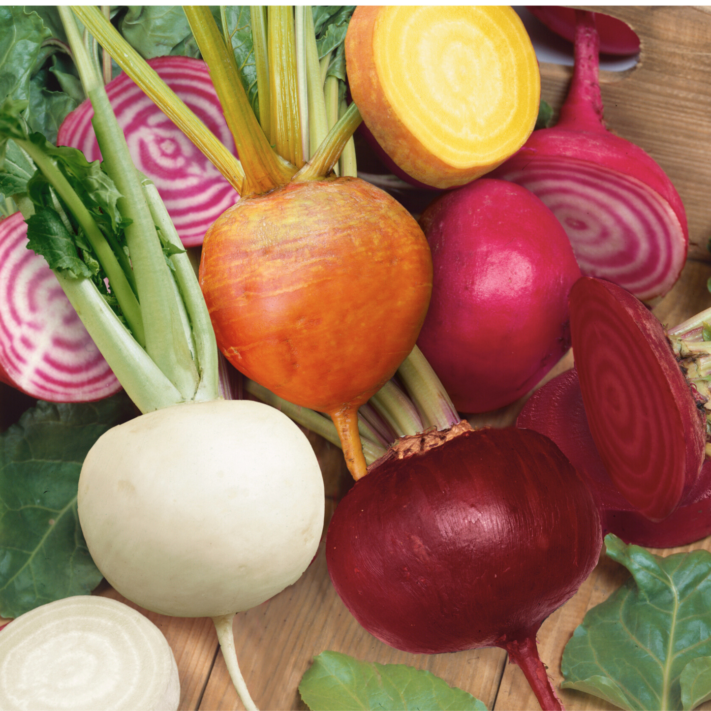 Rainbow Blend Beet