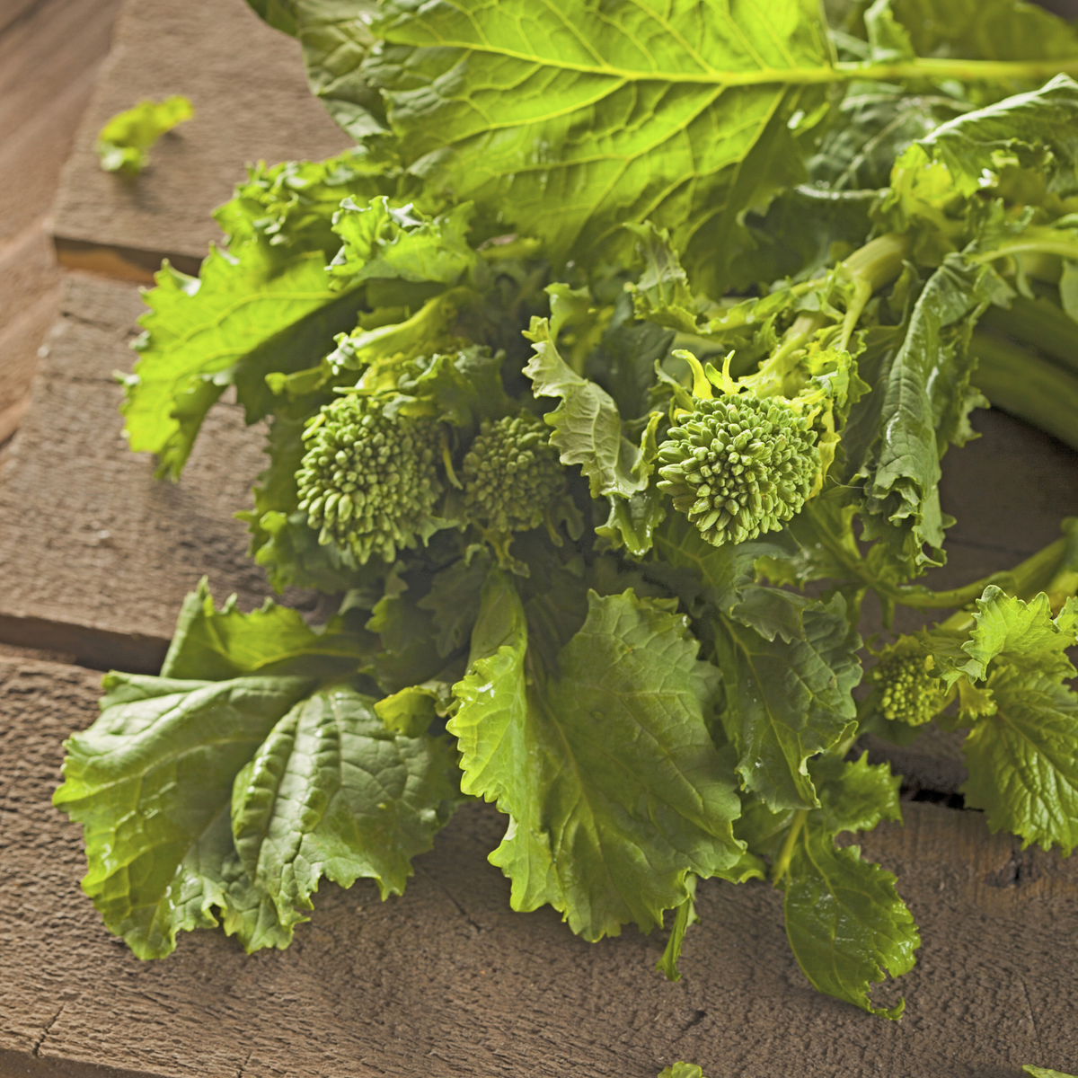 Passen Rabb Rabb (Rapini) Broccolini Seeds – Brawley Seed Co.