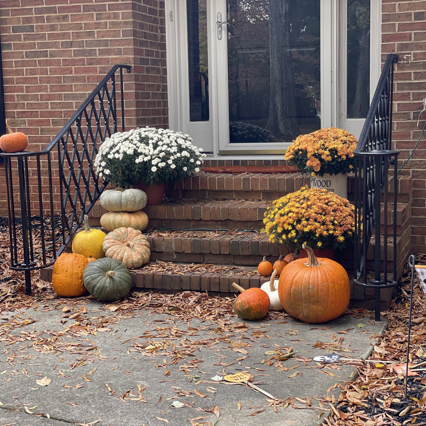 The Cottage Package