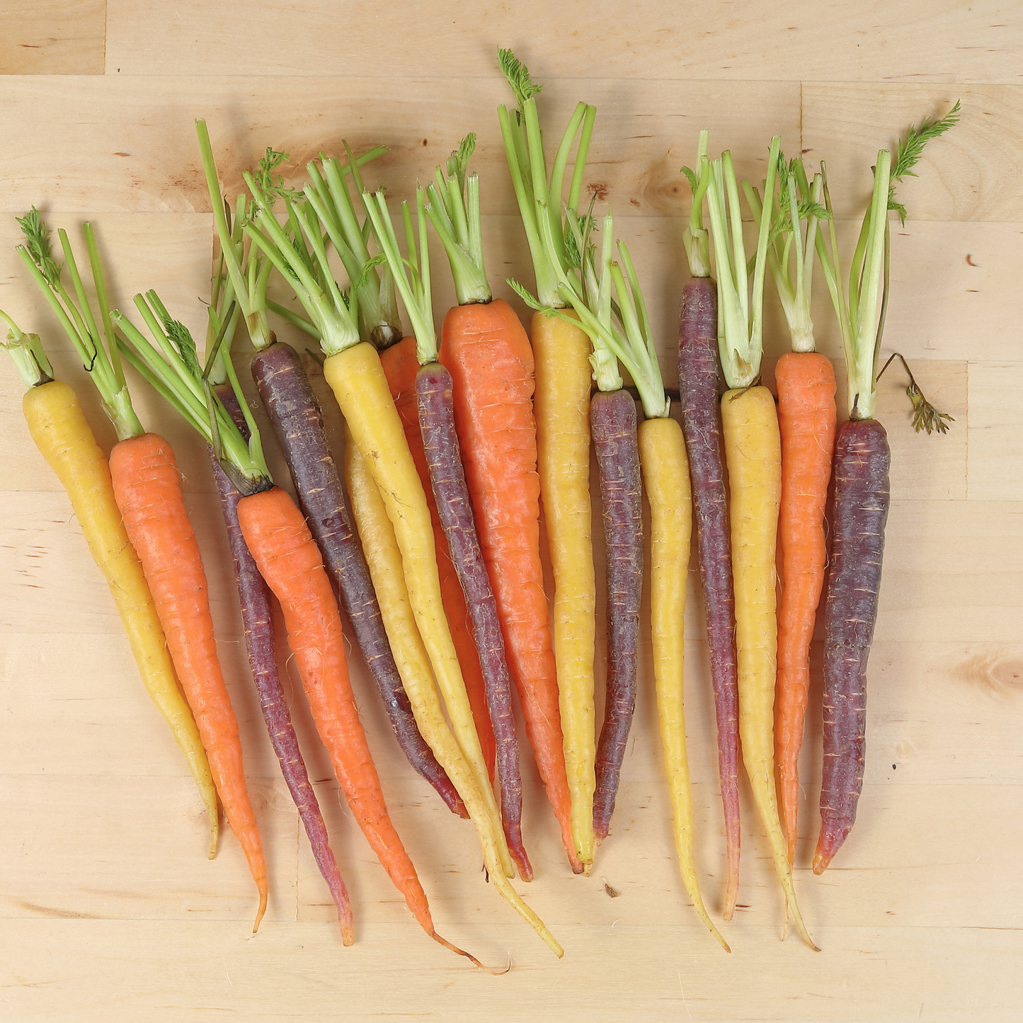 Mixed Colors Carrot Blend