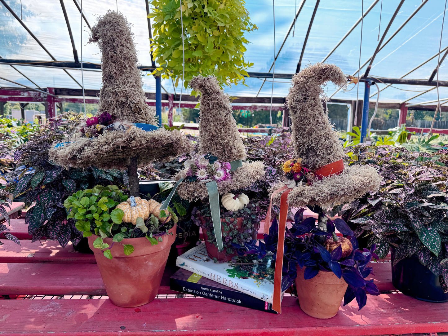 Witchy Woman Topiaries- September 24th, October 9th 6:30pm