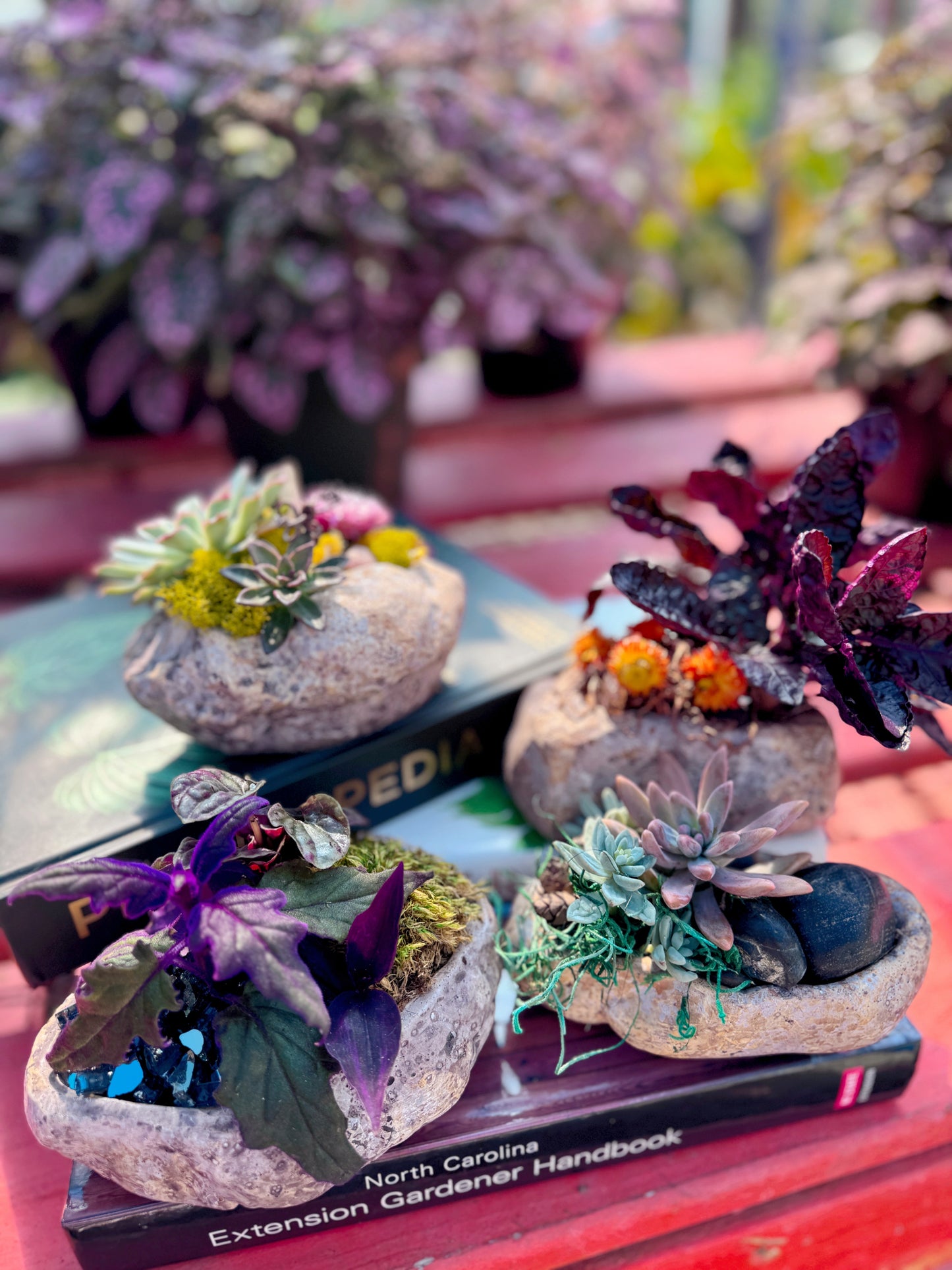 Pocket Gardens (Set of 4)- October 8th, 6:30pm