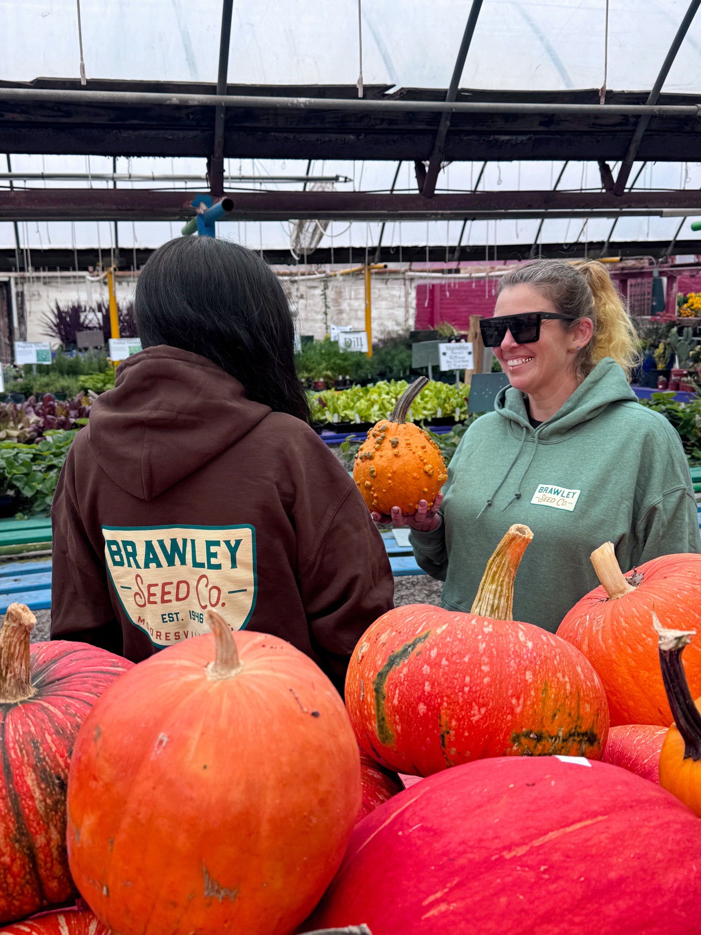 Brawley Seed Co. Heritage Hoodie