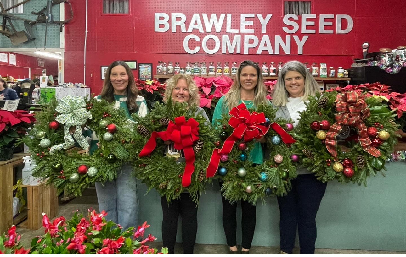 Deck the Door: Classic Wreath Workshop (Dec 2nd 6:30PM)