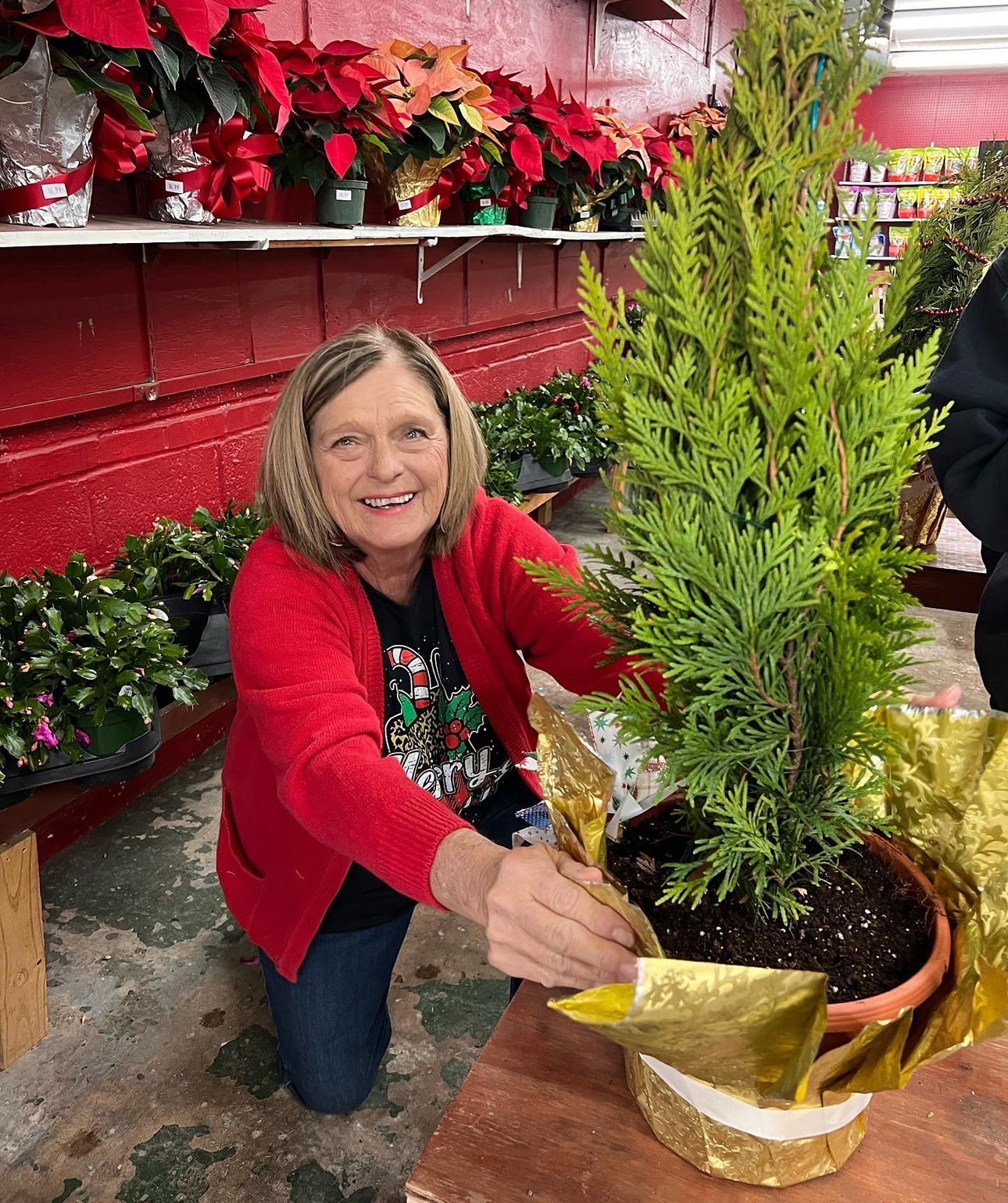 The Merry Little Grinch Tree Workshop (Dec 6th, 10AM)