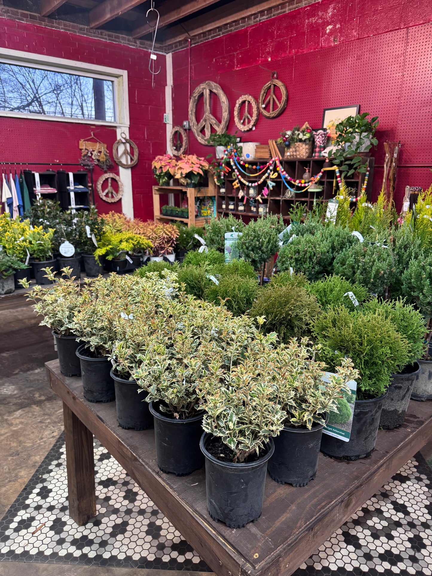 Alpine Garden- October 23rd, 6:30pm