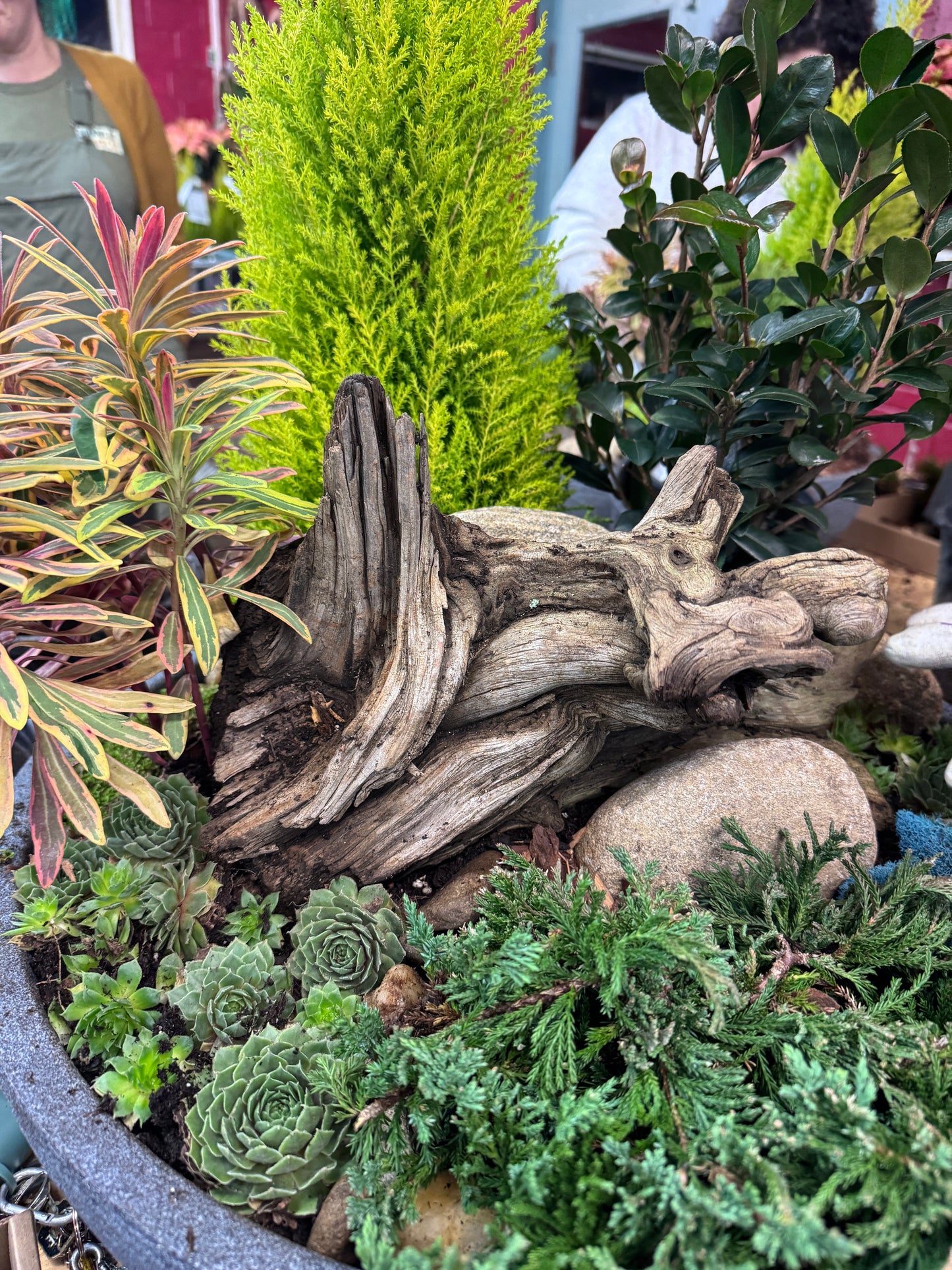 Alpine Garden- October 23rd, 6:30pm