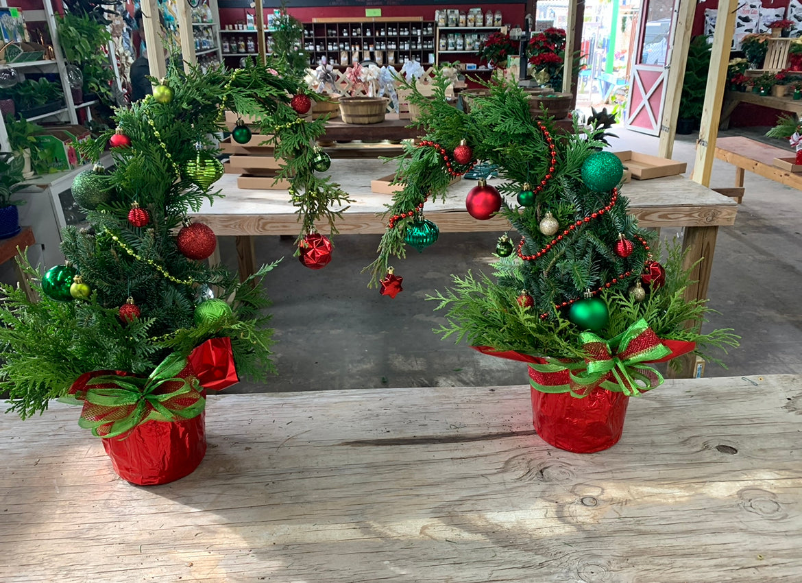 The Merry Little Grinch Tree Workshop (Dec 6th, 10AM)