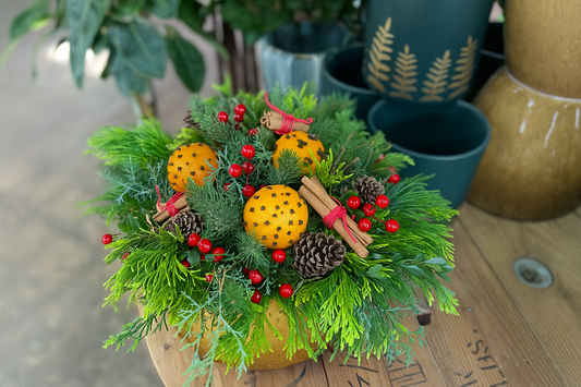 Pomander Bowl: Fragrant Winter Arrangement Workshop (Dec 5th, 6:30PM)