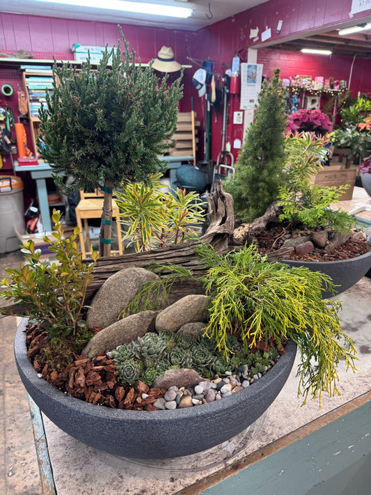Alpine Garden- October 23rd, 6:30pm