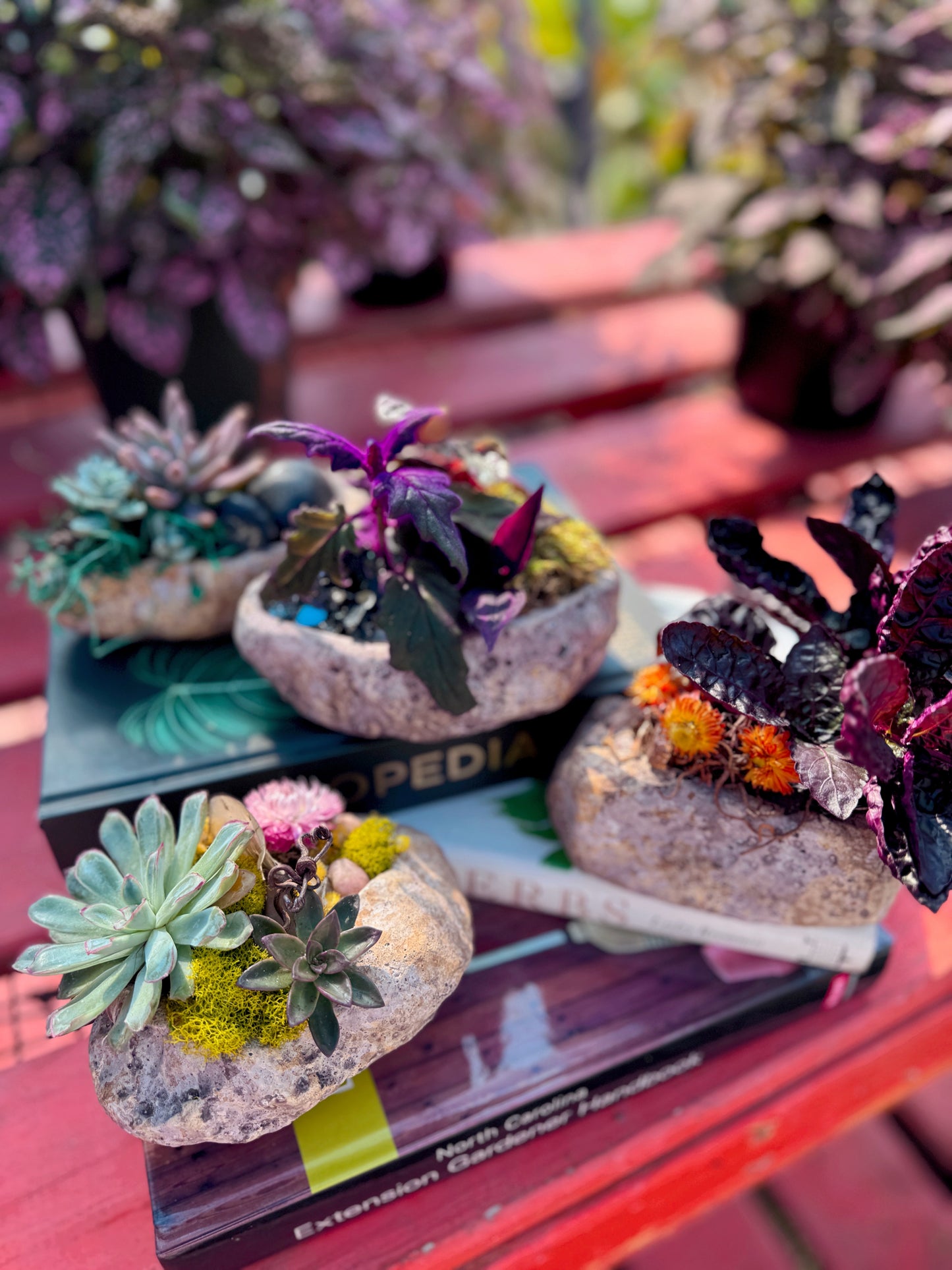 Pocket Gardens (Set of 4)- October 8th, 6:30pm