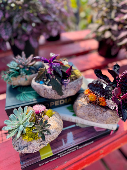 Pocket Gardens (Set of 4)- October 8th, 6:30pm