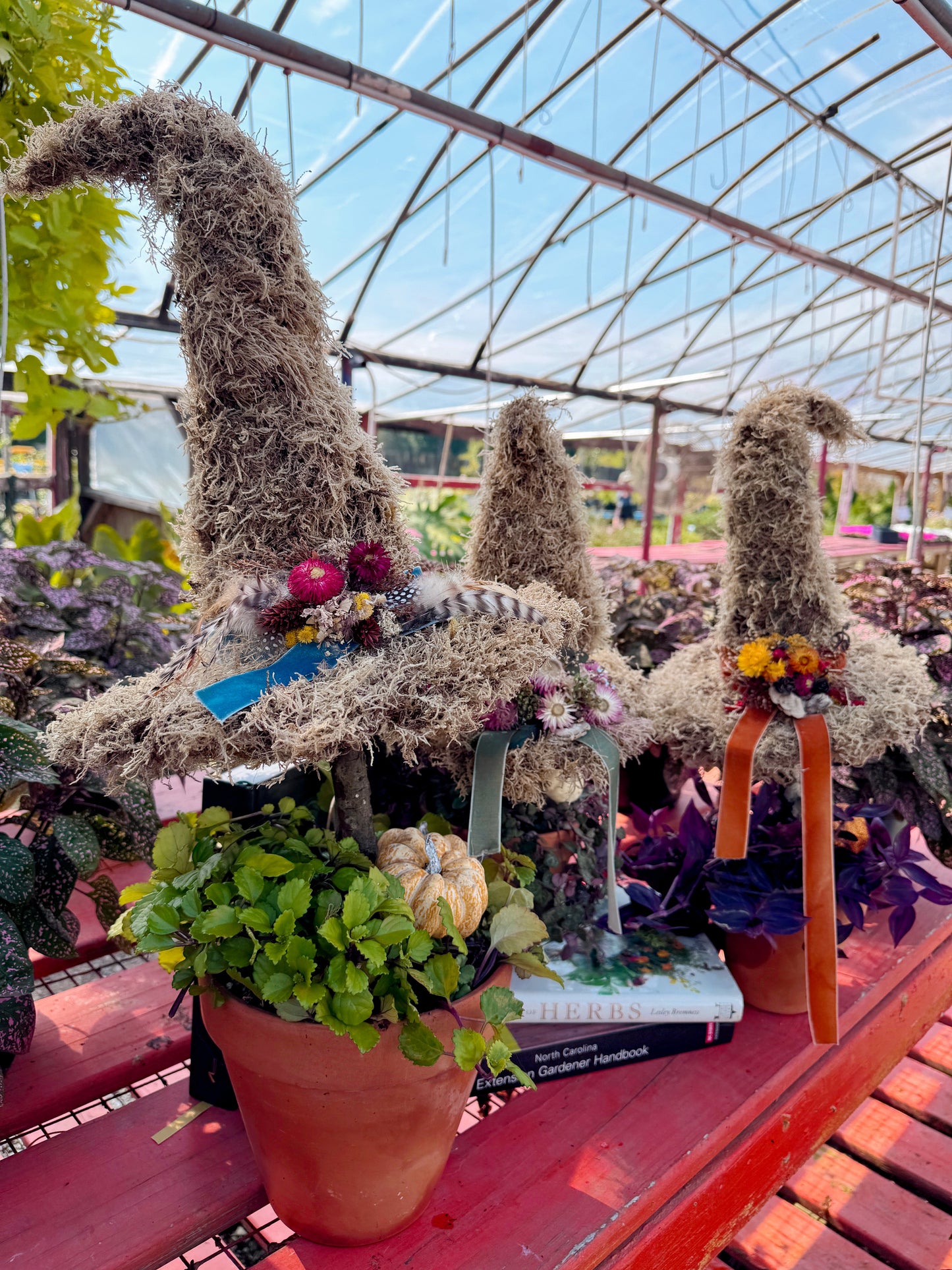 Witchy Woman Topiaries- September 24th, October 9th 6:30pm