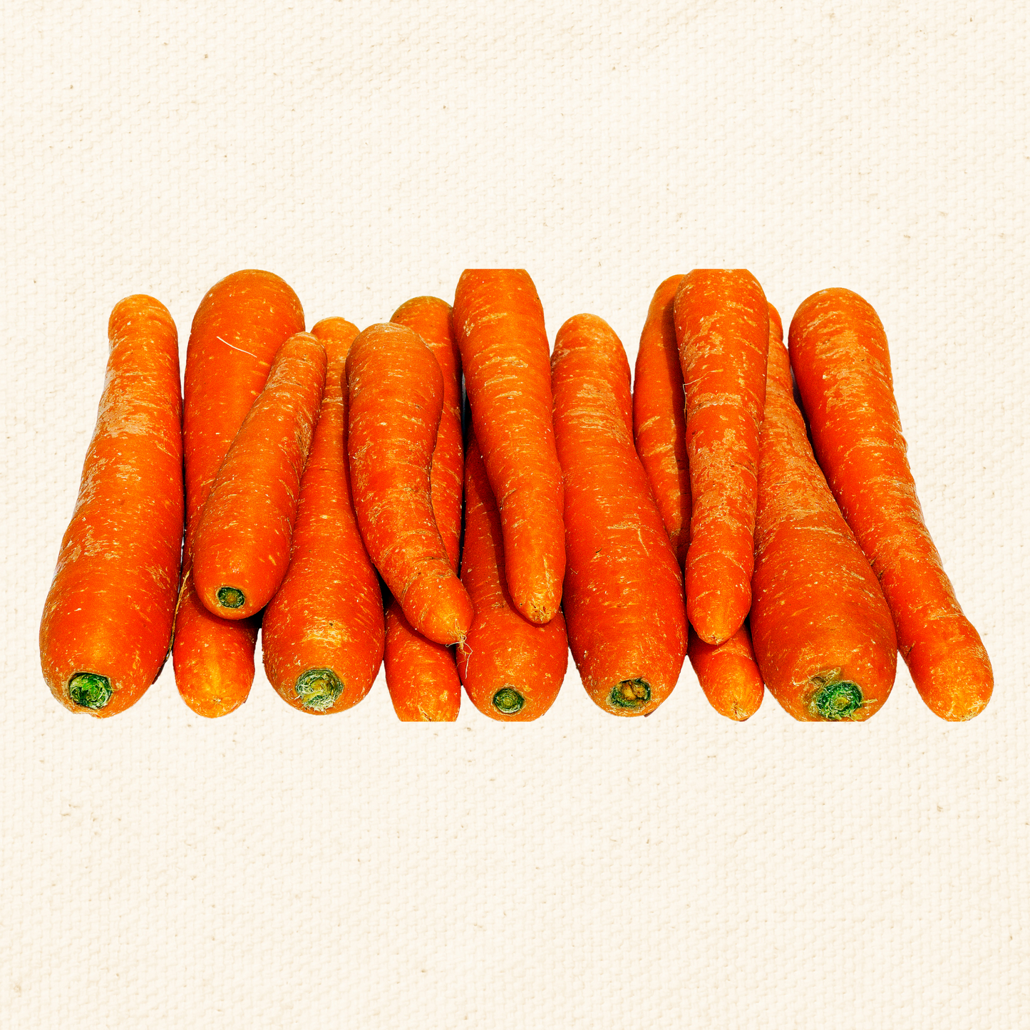 Chantenay Red Core Carrot