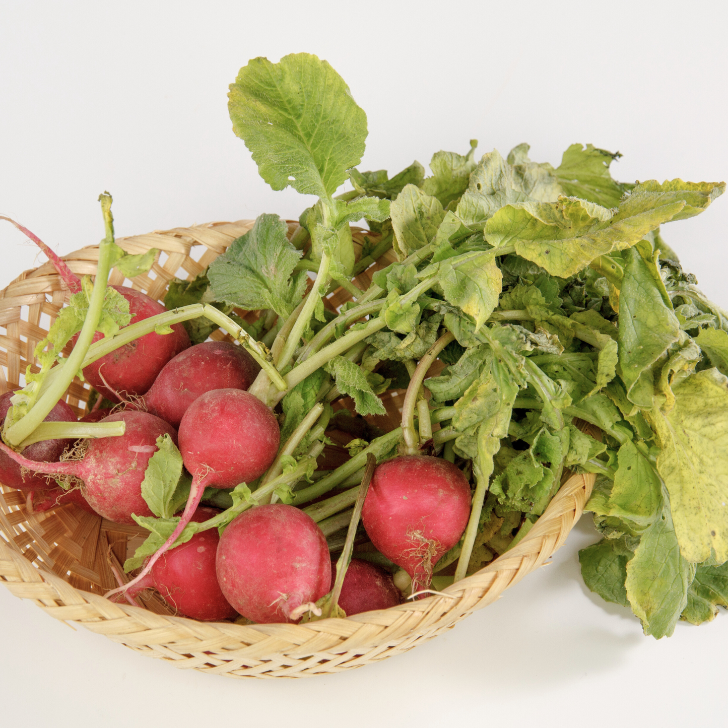 Cherry Belle Radish