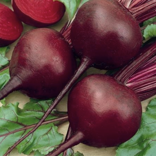 Detroit Dark Red Beet
