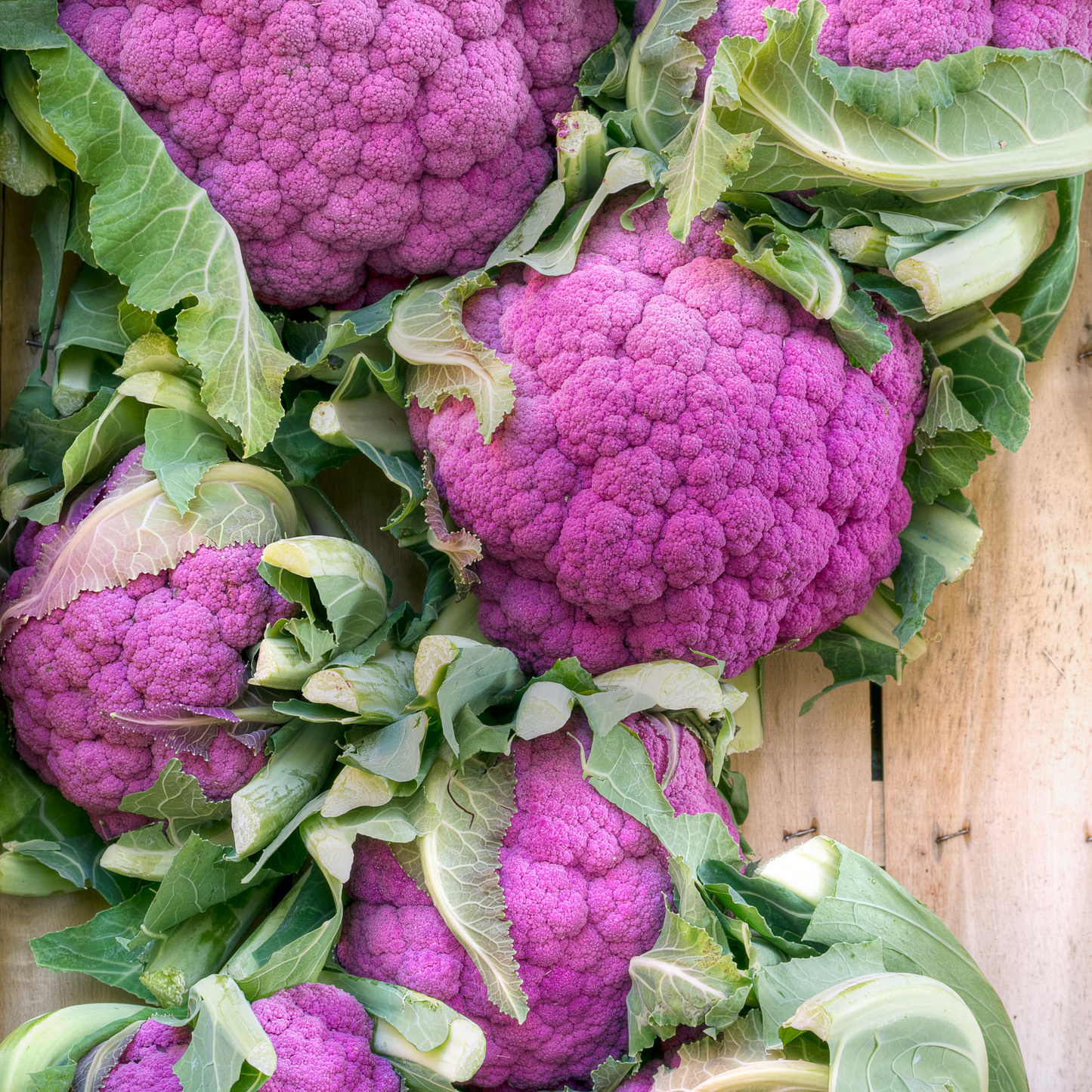Graffiti Cauliflower