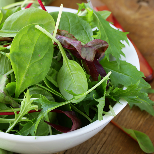 Mesclun Mix (Lettuce & Greens)