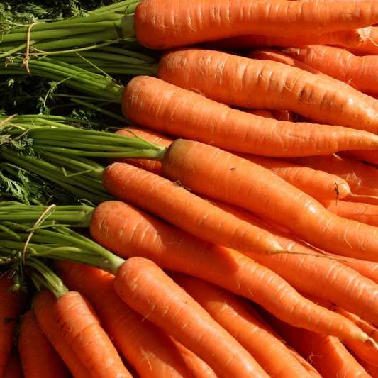 Tender Sweet Carrot